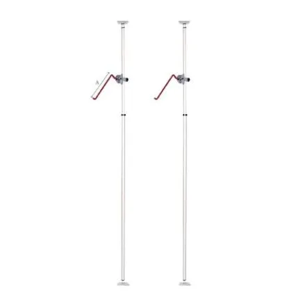 Skate & Snow Set, two poles, photo 2